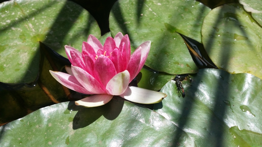 Maintenance and Repair